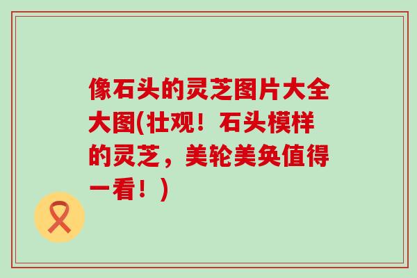 像石头的灵芝图片大全大图(壮观！石头模样的灵芝，美轮美奂值得一看！)