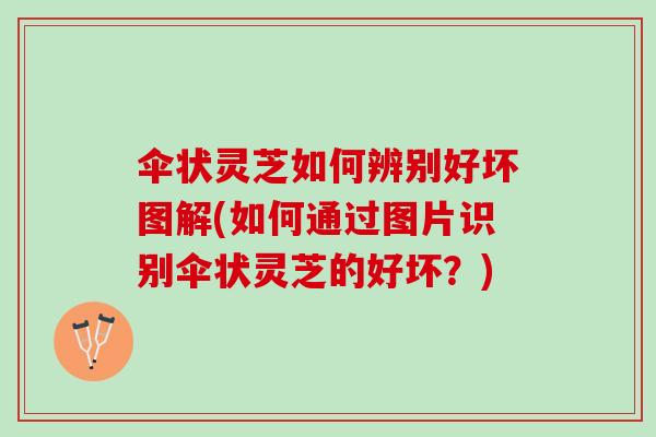 伞状灵芝如何辨别好坏图解(如何通过图片识别伞状灵芝的好坏？)