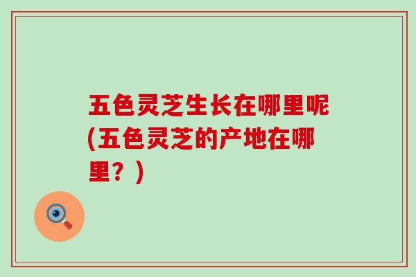 五色灵芝生长在哪里呢(五色灵芝的产地在哪里？)
