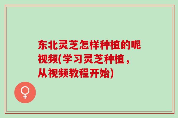 东北灵芝怎样种植的呢视频(学习灵芝种植，从视频教程开始)