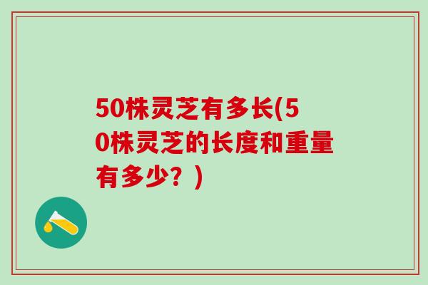 50株灵芝有多长(50株灵芝的长度和重量有多少？)