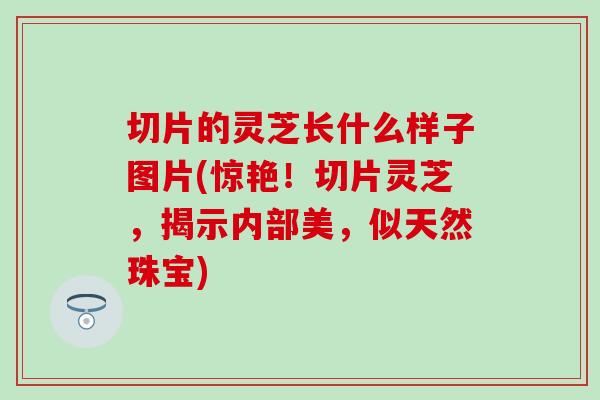 切片的灵芝长什么样子图片(惊艳！切片灵芝，揭示内部美，似天然珠宝)
