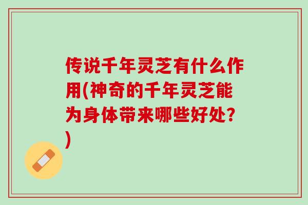 传说千年灵芝有什么作用(神奇的千年灵芝能为身体带来哪些好处？)
