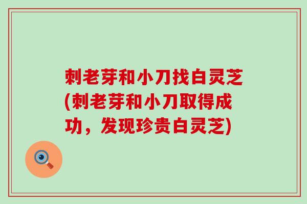 刺老芽和小刀找白灵芝(刺老芽和小刀取得成功，发现珍贵白灵芝)