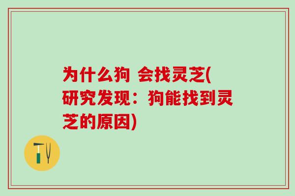 为什么狗 会找灵芝(研究发现：狗能找到灵芝的原因)
