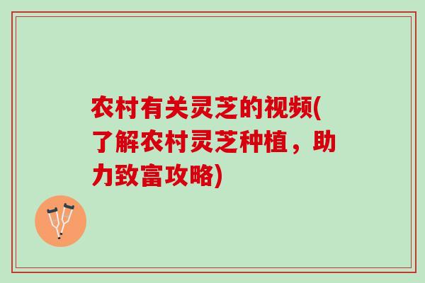 农村有关灵芝的视频(了解农村灵芝种植，助力致富攻略)
