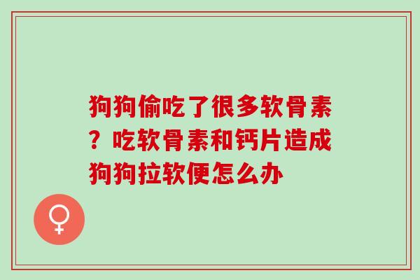 狗狗偷吃了很多软骨素？吃软骨素和钙片造成狗狗拉软便怎么办