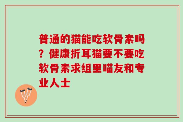 普通的猫能吃软骨素吗？健康折耳猫要不要吃软骨素求组里喵友和专业人士