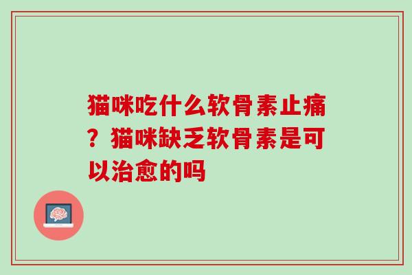 猫咪吃什么软骨素?猫咪缺乏软骨素是可以愈的吗 猫咪吃什么软骨素?猫咪缺乏软骨素是可以愈的吗