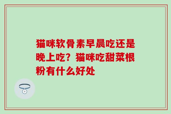 猫咪软骨素早晨吃还是晚上吃？猫咪吃甜菜根粉有什么好处