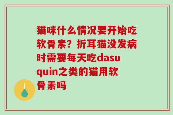 猫咪什么情况要开始吃软骨素?折耳猫没发时需要每天吃dasuquin之类的猫用软骨素吗 猫咪什么情况要开始吃软骨素?折耳猫没发时需要每天吃dasuquin之类的猫用软骨素吗