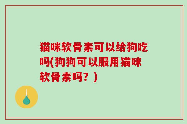 猫咪软骨素可以给狗吃吗(狗狗可以服用猫咪软骨素吗？)