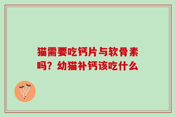 猫需要吃钙片与软骨素吗？幼猫补钙该吃什么