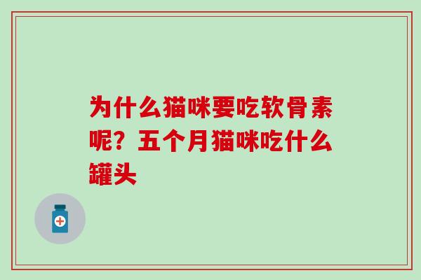为什么猫咪要吃软骨素呢？五个月猫咪吃什么罐头
