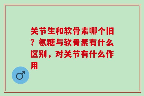 关节生和软骨素哪个旧？氨糖与软骨素有什么区别，对关节有什么作用