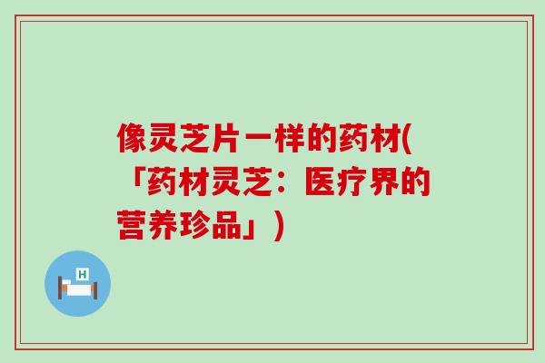 像灵芝片一样的药材(「药材灵芝：医疗界的营养珍品」)