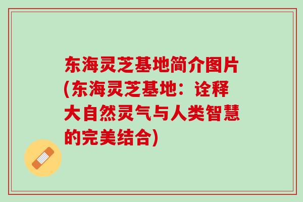东海灵芝基地简介图片(东海灵芝基地：诠释大自然灵气与人类智慧的完美结合)