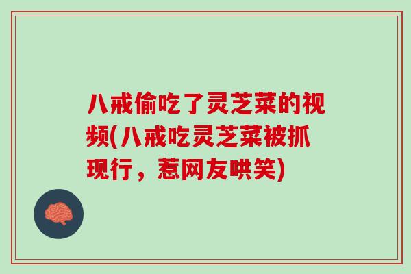 八戒偷吃了灵芝菜的视频(八戒吃灵芝菜被抓现行，惹网友哄笑)