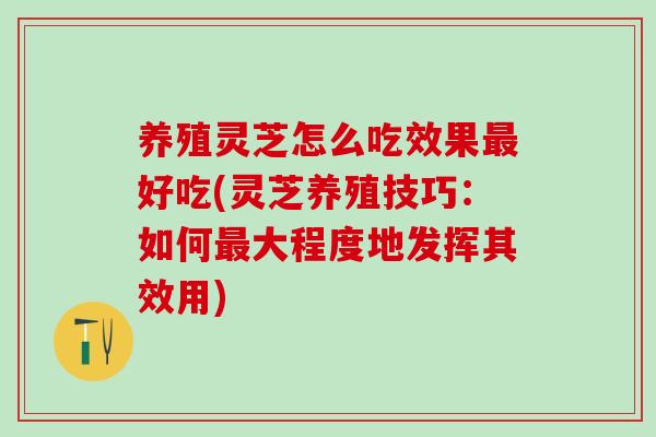 养殖灵芝怎么吃效果最好吃(灵芝养殖技巧：如何最大程度地发挥其效用)