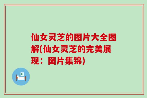 仙女灵芝的图片大全图解(仙女灵芝的完美展现：图片集锦)