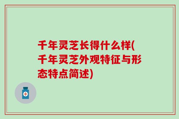 千年灵芝长得什么样(千年灵芝外观特征与形态特点简述)