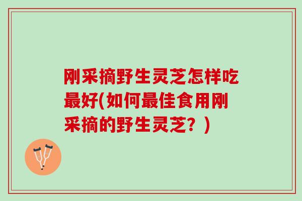 刚采摘野生灵芝怎样吃最好(如何最佳食用刚采摘的野生灵芝？)