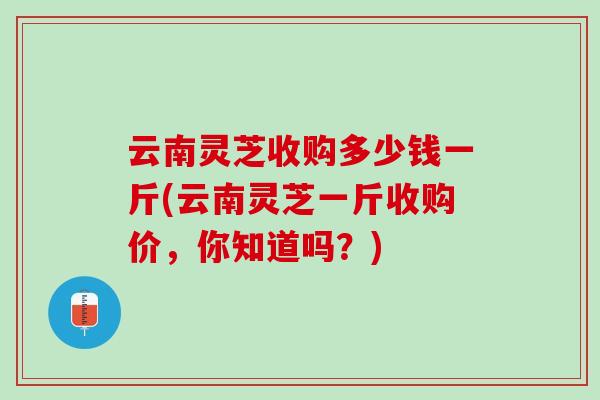 云南灵芝收购多少钱一斤(云南灵芝一斤收购价，你知道吗？)