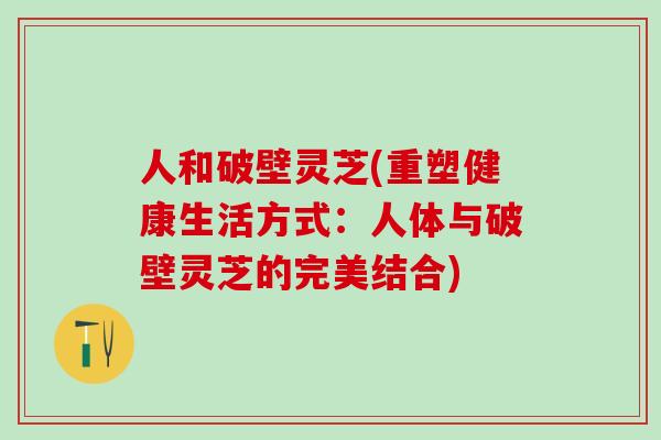人和破壁灵芝(重塑健康生活方式：人体与破壁灵芝的完美结合)