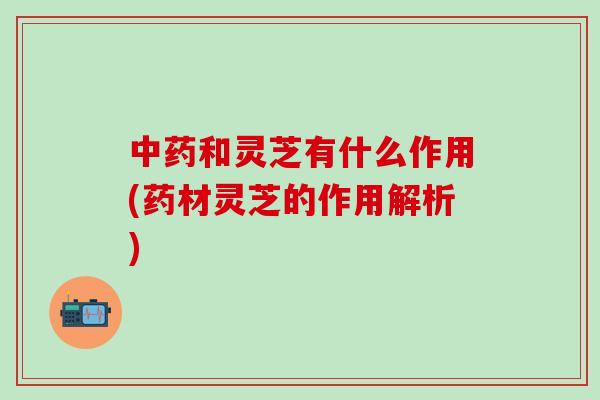 中药和灵芝有什么作用(药材灵芝的作用解析)