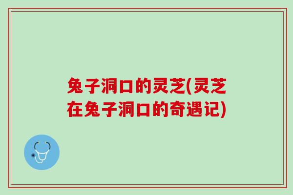 兔子洞口的灵芝(灵芝在兔子洞口的奇遇记)