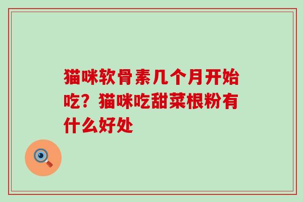 猫咪软骨素几个月开始吃？猫咪吃甜菜根粉有什么好处