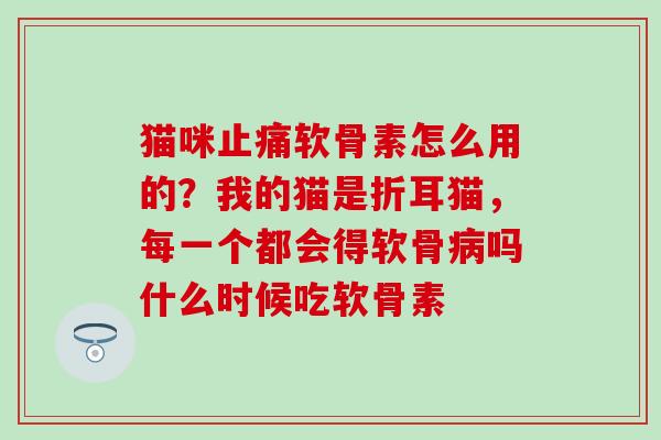 猫咪止痛软骨素怎么用的？我的猫是折耳猫，每一个都会得软骨病吗什么时候吃软骨素
