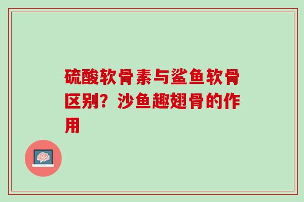 硫酸软骨素与鲨鱼软骨区别？沙鱼趣翅骨的作用
