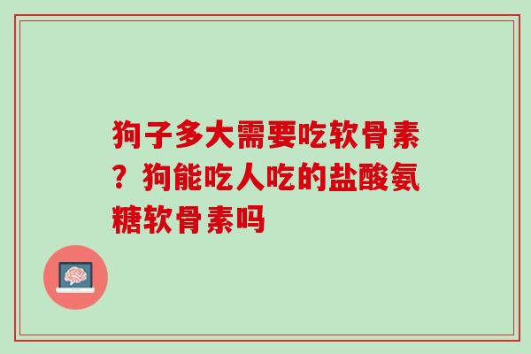 狗子多大需要吃软骨素？狗能吃人吃的盐酸氨糖软骨素吗