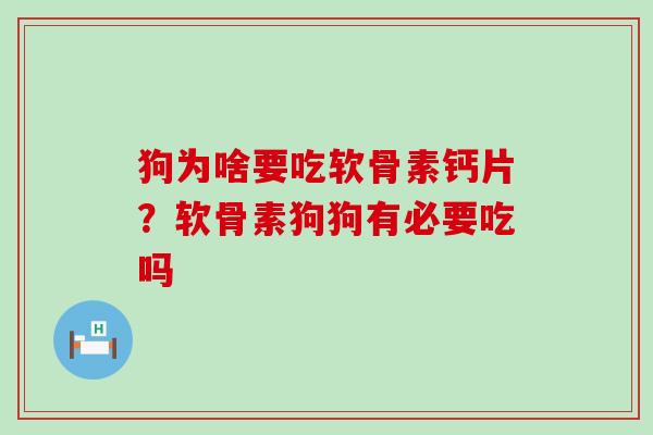 狗为啥要吃软骨素钙片？软骨素狗狗有必要吃吗