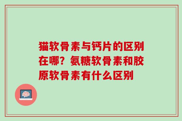 猫软骨素与钙片的区别在哪？氨糖软骨素和胶原软骨素有什么区别