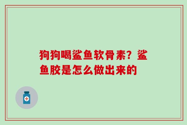 狗狗喝鲨鱼软骨素？鲨鱼胶是怎么做出来的