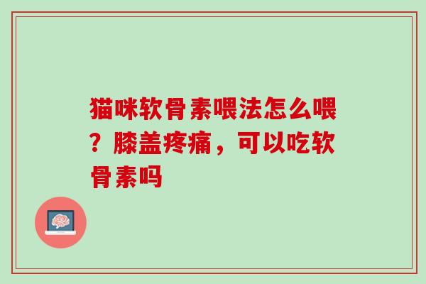 猫咪软骨素喂法怎么喂？膝盖疼痛，可以吃软骨素吗