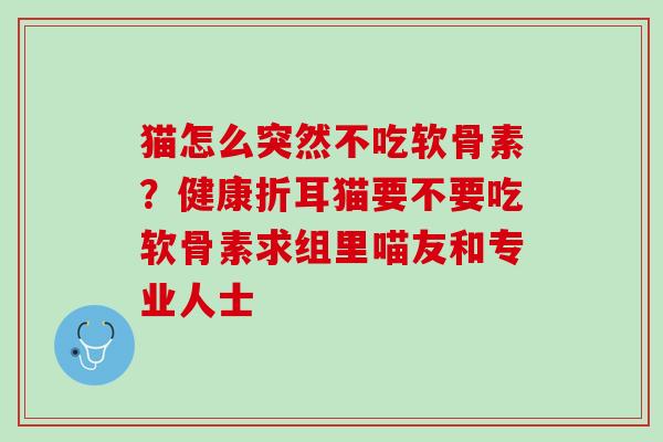 猫怎么突然不吃软骨素？健康折耳猫要不要吃软骨素求组里喵友和专业人士