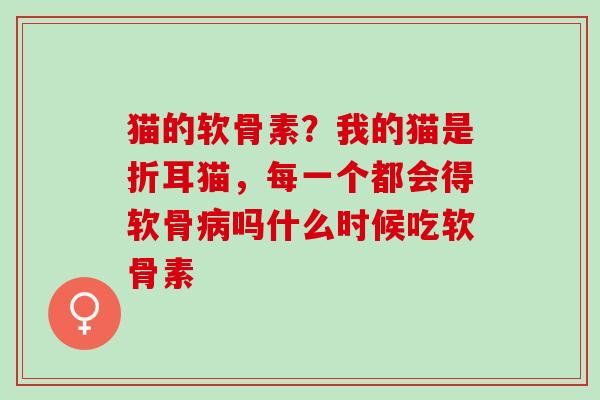 猫的软骨素？我的猫是折耳猫，每一个都会得软骨病吗什么时候吃软骨素