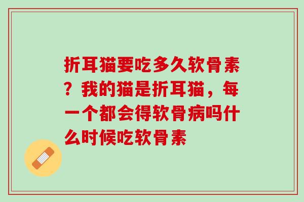 折耳猫要吃多久软骨素？我的猫是折耳猫，每一个都会得软骨病吗什么时候吃软骨素