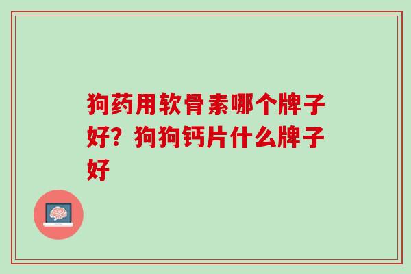 狗药用软骨素哪个牌子好？狗狗钙片什么牌子好