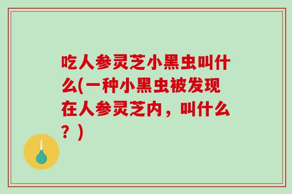 吃人参灵芝小黑虫叫什么(一种小黑虫被发现在人参灵芝内，叫什么？)
