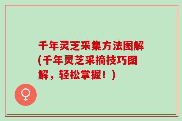 千年灵芝采集方法图解(千年灵芝采摘技巧图解，轻松掌握！)