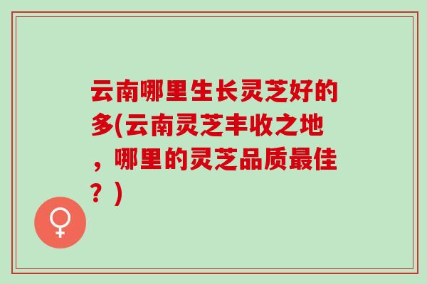 云南哪里生长灵芝好的多(云南灵芝丰收之地，哪里的灵芝品质最佳？)