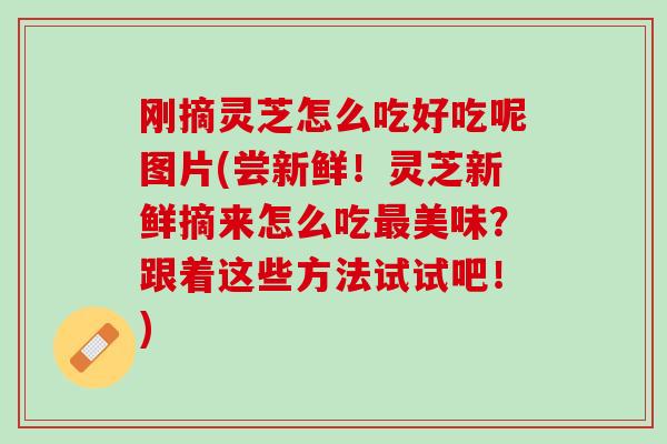 刚摘灵芝怎么吃好吃呢图片(尝新鲜！灵芝新鲜摘来怎么吃最美味？跟着这些方法试试吧！)
