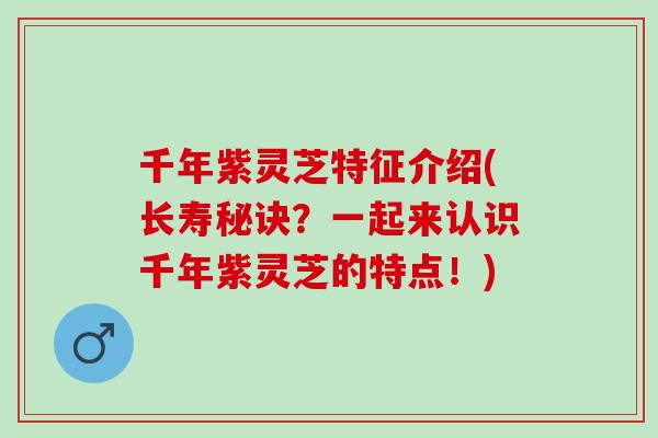 千年紫灵芝特征介绍(长寿秘诀？一起来认识千年紫灵芝的特点！)