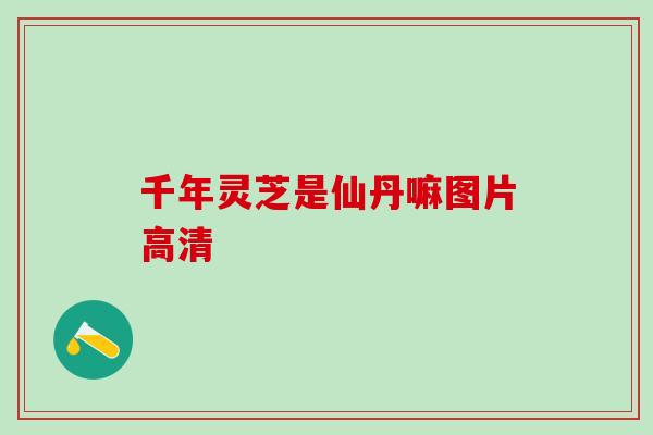 千年灵芝是仙丹嘛图片高清