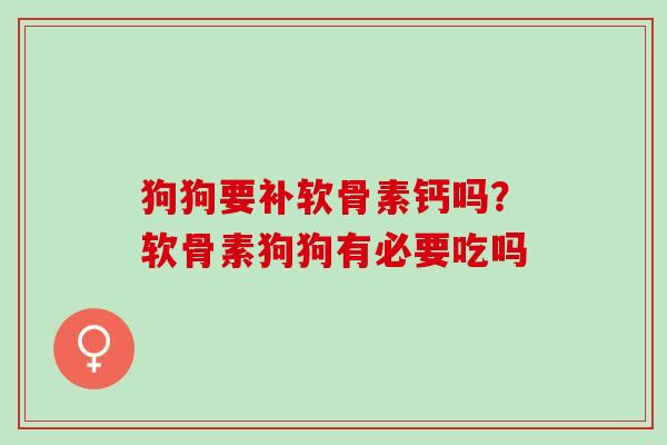 狗狗要补软骨素钙吗？软骨素狗狗有必要吃吗