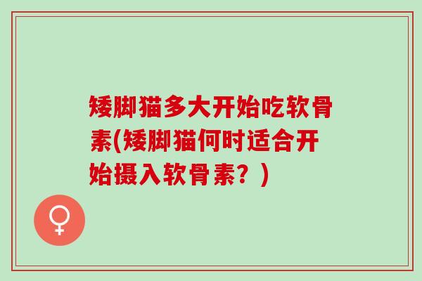 矮脚猫多大开始吃软骨素(矮脚猫何时适合开始摄入软骨素？)